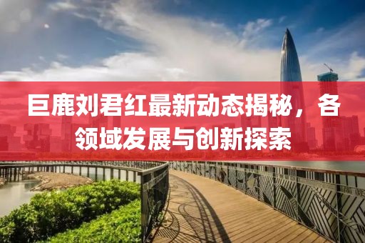 巨鹿劉君紅最新動(dòng)態(tài)揭秘，各領(lǐng)域發(fā)展與創(chuàng)新探索