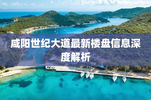 咸陽(yáng)世紀(jì)大道最新樓盤信息深度解析