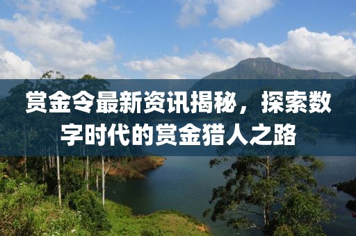 賞金令最新資訊揭秘，探索數(shù)字時(shí)代的賞金獵人之路