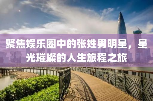 聚焦娛樂圈中的張姓男明星，星光璀璨的人生旅程之旅