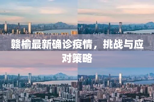 贛榆最新確診疫情，挑戰(zhàn)與應(yīng)對(duì)策略