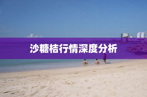 沙糖桔行情深度分析
