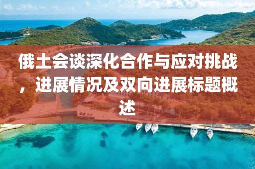 俄土?xí)勆罨献髋c應(yīng)對挑戰(zhàn)，進展情況及雙向進展標(biāo)題概述