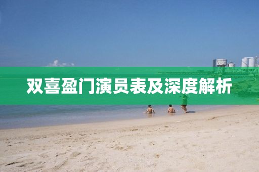 雙喜盈門演員表及深度解析