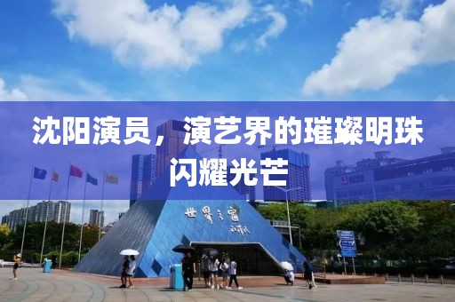 沈陽(yáng)演員，演藝界的璀璨明珠閃耀光芒