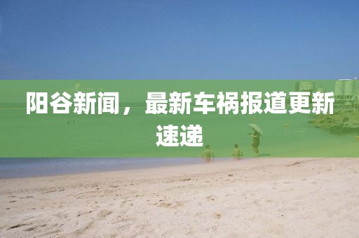 陽谷新聞，最新車禍報(bào)道更新速遞