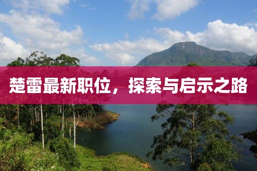 楚雷最新職位，探索與啟示之路