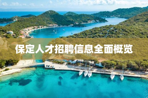 保定人才招聘信息全面概覽