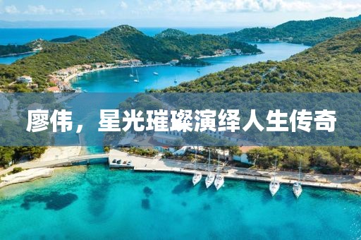 廖偉，星光璀璨演繹人生傳奇