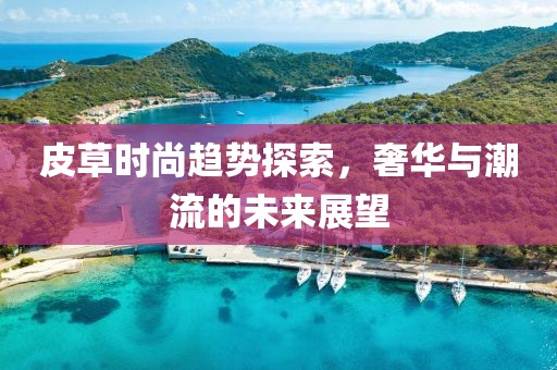 皮草時(shí)尚趨勢(shì)探索，奢華與潮流的未來(lái)展望