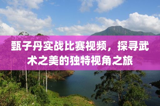 甄子丹實戰(zhàn)比賽視頻，探尋武術(shù)之美的獨特視角之旅