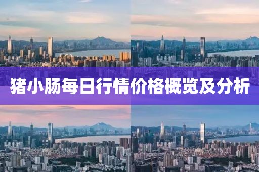 豬小腸每日行情價格概覽及分析