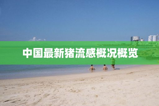 中國(guó)最新豬流感概況概覽