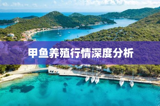 甲魚養(yǎng)殖行情深度分析