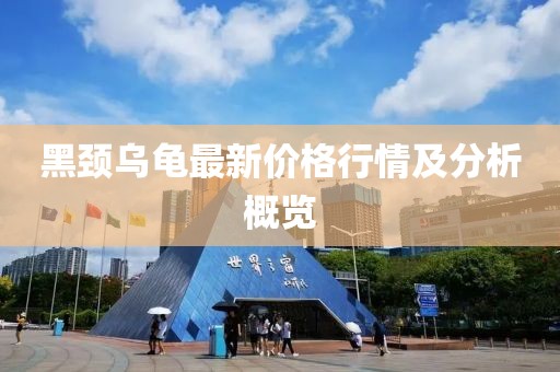 黑頸烏龜最新價(jià)格行情及分析概覽