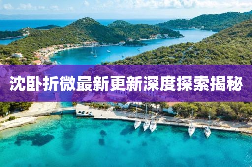 沈臥折微最新更新深度探索揭秘