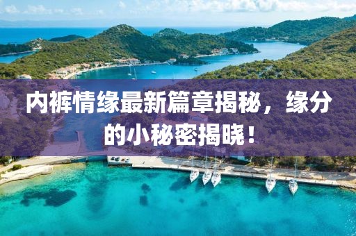內(nèi)褲情緣最新篇章揭秘，緣分的小秘密揭曉！