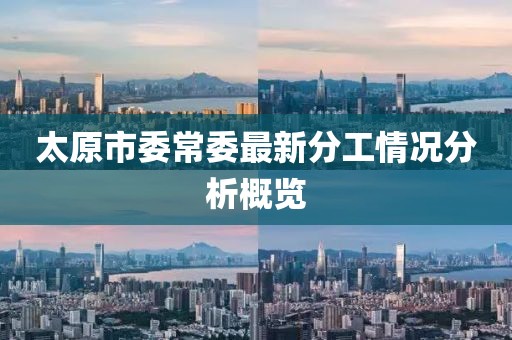 太原市委常委最新分工情況分析概覽