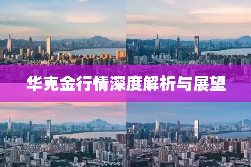 華克金行情深度解析與展望