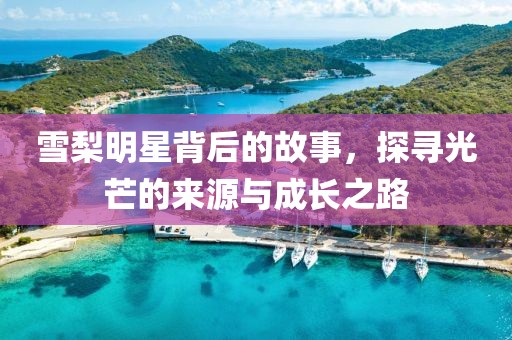 雪梨明星背后的故事，探尋光芒的來源與成長之路