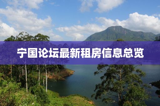 寧國論壇最新租房信息總覽