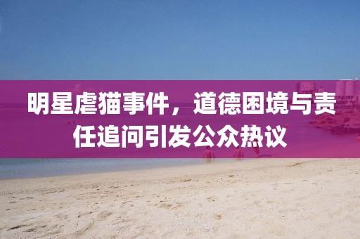 明星虐貓事件，道德困境與責任追問引發(fā)公眾熱議