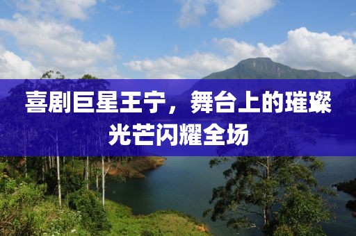 喜劇巨星王寧，舞臺上的璀璨光芒閃耀全場