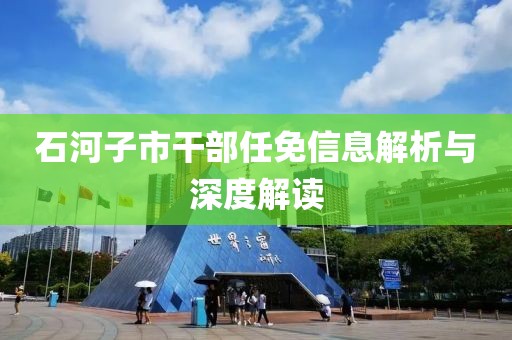 石河子市干部任免信息解析與深度解讀