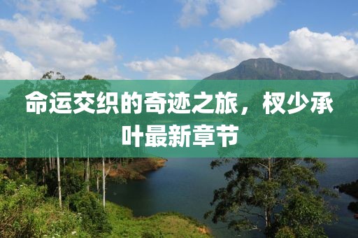 命運交織的奇跡之旅，杈少承葉最新章節(jié)