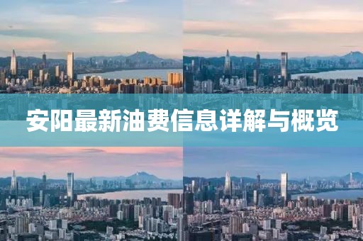 安陽(yáng)最新油費(fèi)信息詳解與概覽