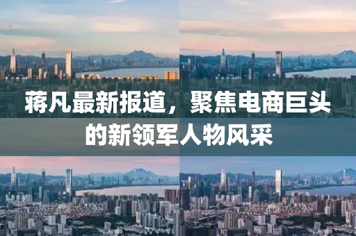蔣凡最新報道，聚焦電商巨頭的新領軍人物風采