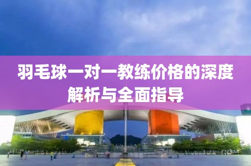 羽毛球一對一教練價(jià)格的深度解析與全面指導(dǎo)