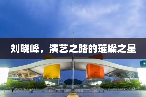 劉曉峰，演藝之路的璀璨之星