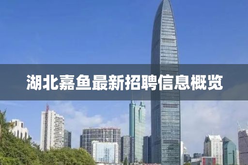 湖北嘉魚最新招聘信息概覽