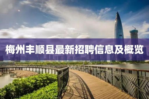 梅州豐順縣最新招聘信息及概覽