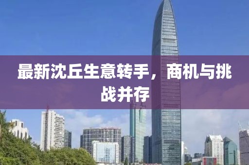 最新沈丘生意轉(zhuǎn)手，商機與挑戰(zhàn)并存
