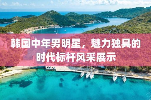 韓國中年男明星，魅力獨具的時代標(biāo)桿風(fēng)采展示
