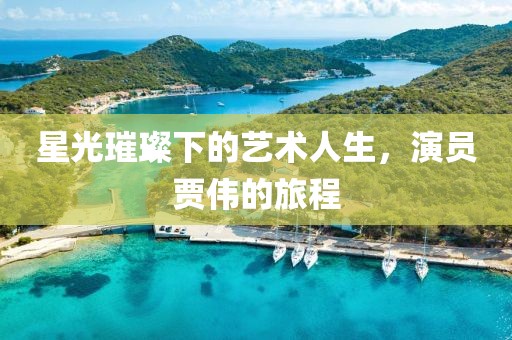 星光璀璨下的藝術人生，演員賈偉的旅程