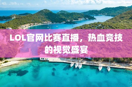 LOL官網(wǎng)比賽直播，熱血競技的視覺盛宴