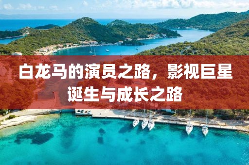 白龍馬的演員之路，影視巨星誕生與成長之路