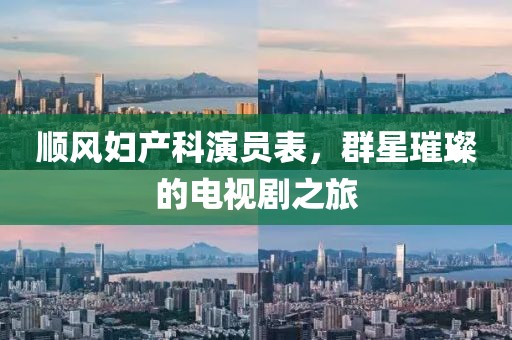 順風(fēng)婦產(chǎn)科演員表，群星璀璨的電視劇之旅