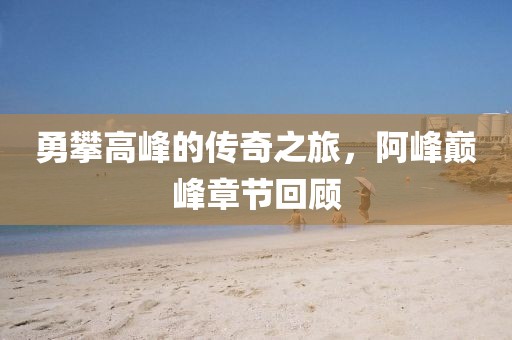 勇攀高峰的傳奇之旅，阿峰巔峰章節(jié)回顧