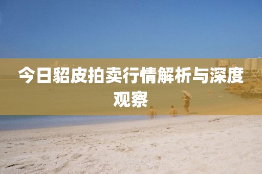 今日貂皮拍賣行情解析與深度觀察
