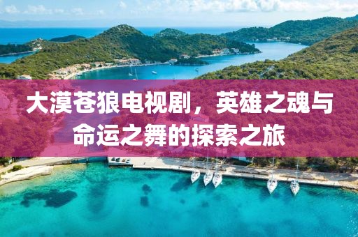 大漠蒼狼電視劇，英雄之魂與命運之舞的探索之旅