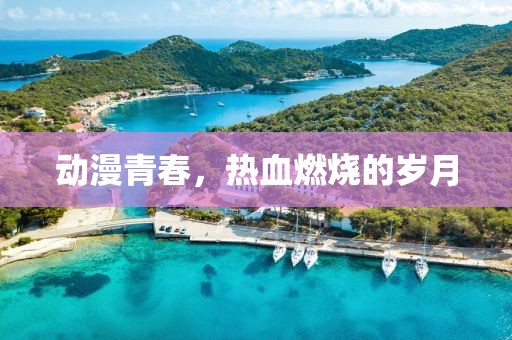 動漫青春，熱血燃燒的歲月