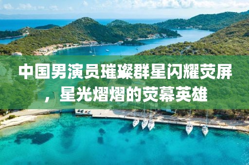 中國(guó)男演員璀璨群星閃耀熒屏，星光熠熠的熒幕英雄