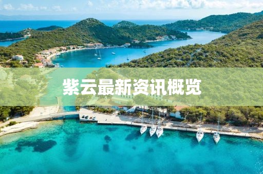 紫云最新資訊概覽
