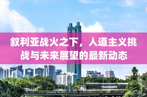 敘利亞戰(zhàn)火之下，人道主義挑戰(zhàn)與未來(lái)展望的最新動(dòng)態(tài)