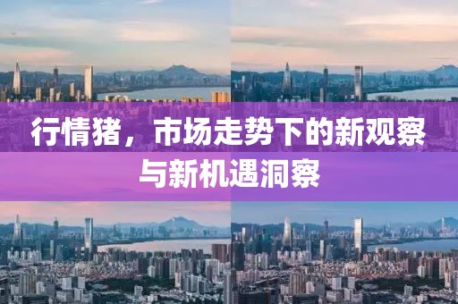 行情豬，市場(chǎng)走勢(shì)下的新觀察與新機(jī)遇洞察