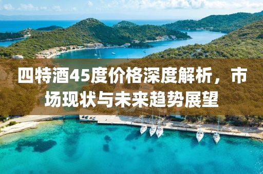 四特酒45度價格深度解析，市場現(xiàn)狀與未來趨勢展望